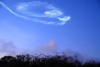 Delta-II/Wide-Field Infra-red Survey Explorer launch, December 14, 2009